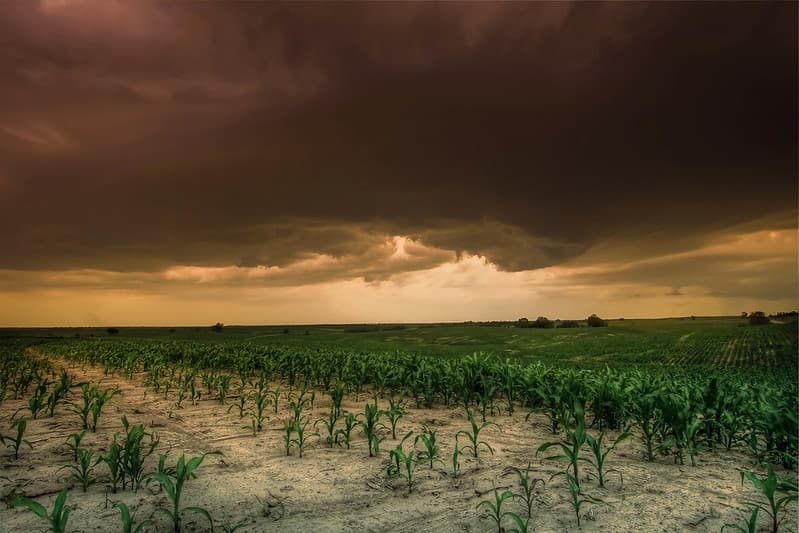 Grand island Nebraska farmland